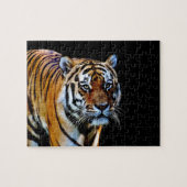 Tiger mit schwarzem Hintergrund Puzzle (Horizontal)