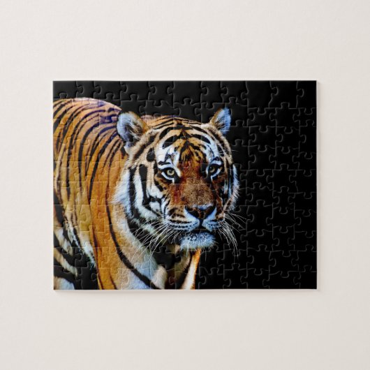 Tiger mit schwarzem Hintergrund Puzzle (Horizontal)