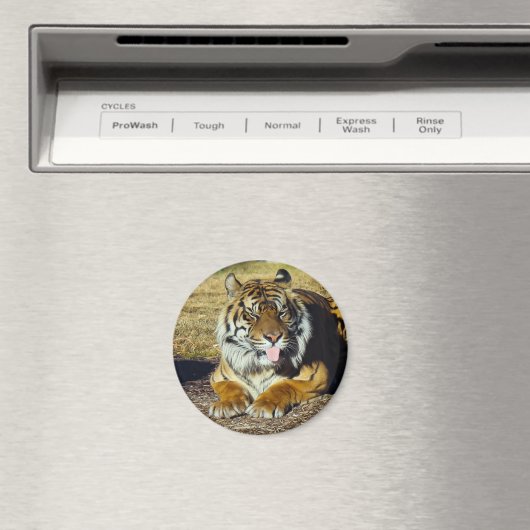 Tiger mit "tude Magnet (In Situ (Geschirrspüler))