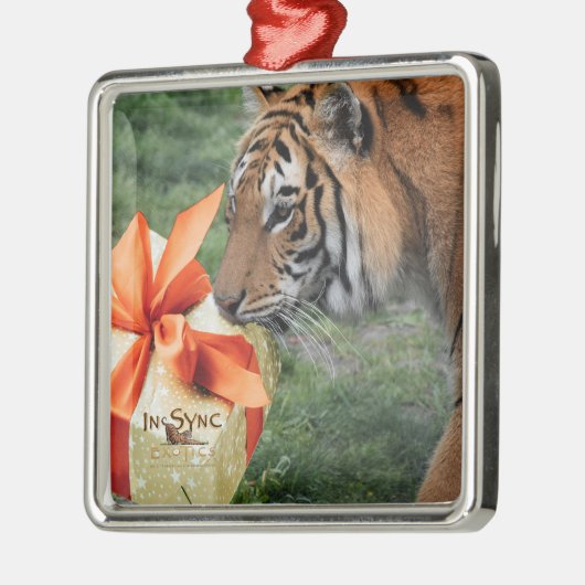 Tiger mit Weihnachtsgeschenk Ornament Aus Metall (Links)