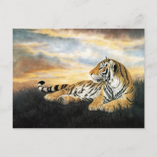 Tiger Morgendämmerung Postkarte