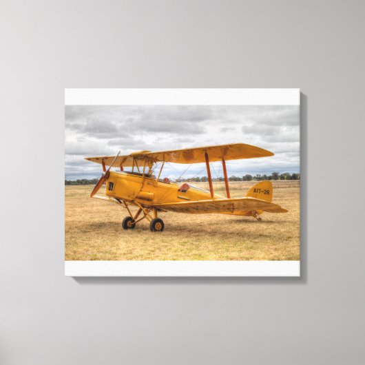 Tiger Moth Leinwanddruck (Vorderseite)