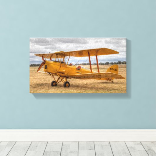 Tiger Moth Leinwanddruck (Insitu (Holzboden))