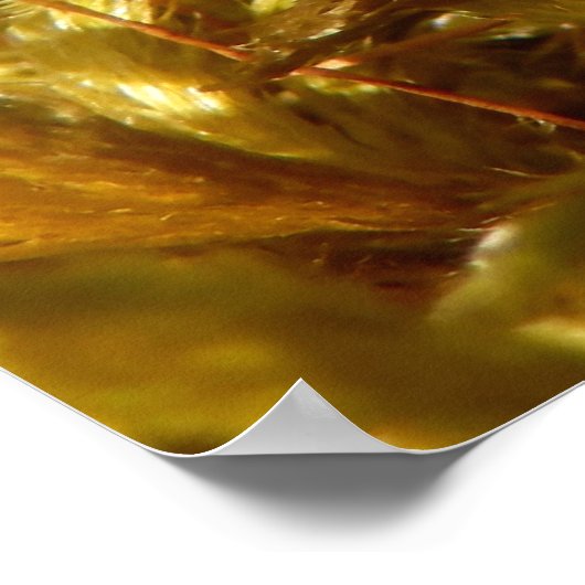 Tiger-Moth-Plakat Poster (Ecke)