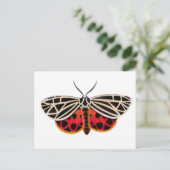 Tiger Moth Postcard Postkarte (Stehend Vorderseite)