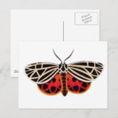 Tiger Moth Postcard Postkarte (Vorne/Hinten)