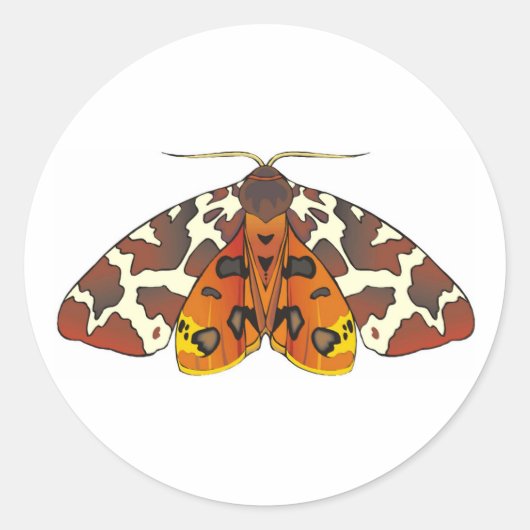 Tiger Moth Runder Aufkleber (Vorderseite)