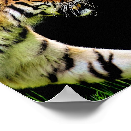 Tiger // Motivierend Poster (Ecke)