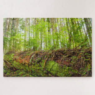Tiger Mountain Issaquah, Bundesstaat Washington Puzzle