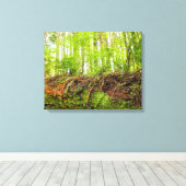 Tiger Mountain | Issaquah, Staat Washington Leinwanddruck (Insitu (Holzboden))