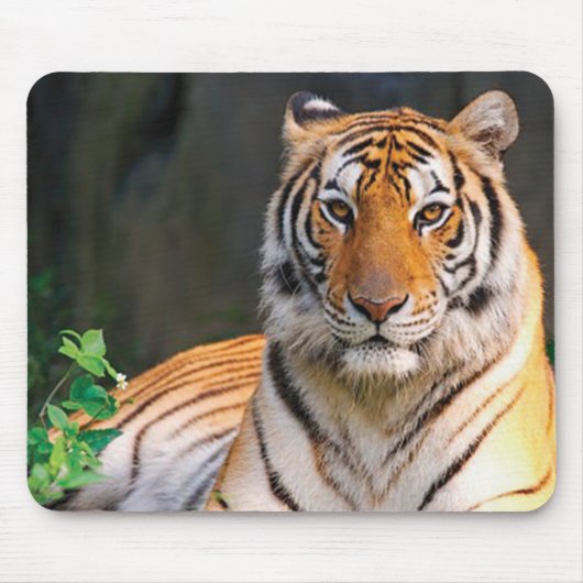 Tiger Mouse Mat Mousepad (Vorne)
