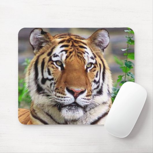 Tiger Mousepad (Mit Mouse)