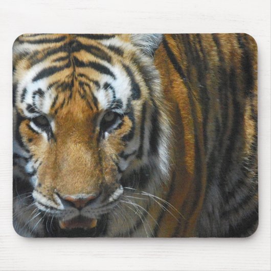 Tiger Mousepad (Vorne)