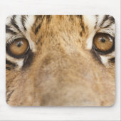 Tiger Mousepad (Vorne)