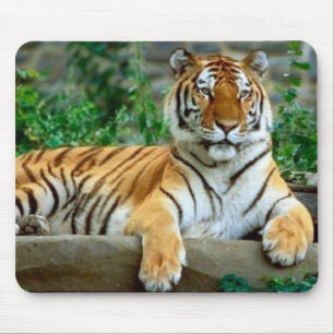 Tiger Mousepad