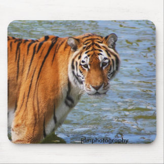 Tiger Mousepad