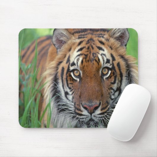 Tiger Mousepad (Mit Mouse)