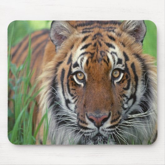 Tiger Mousepad (Vorne)