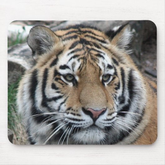 Tiger Mousepad (Vorne)