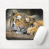 Tiger Mousepad (Mit Mouse)