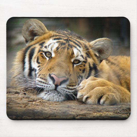 Tiger Mousepad (Vorne)