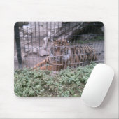 Tiger Mousepad (Mit Mouse)