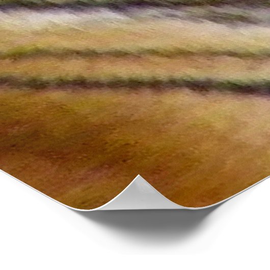 Tiger Mouth_ Poster (Ecke)