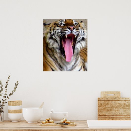 Tiger Mouth_ Poster (Küche)