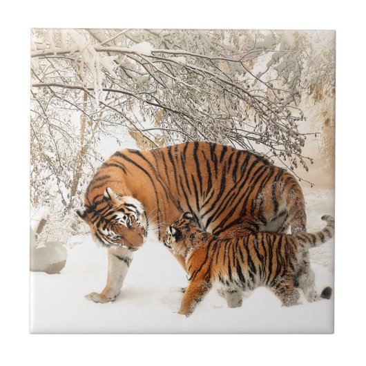 Tiger Mutter und Kind Fliese (Vorderseite)