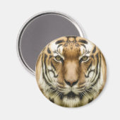 Tiger-Nah-Up-Magnet Magnet (Vorderseite/Rückseite)