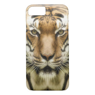 Tiger Nah-Up-Telefonfälle Case-Mate iPhone Hülle