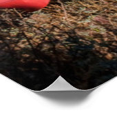 Tiger-Nest-Kloster, Bhutan Poster (Ecke)