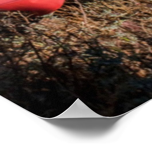 Tiger-Nest-Kloster, Bhutan Poster (Ecke)