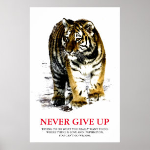 Tiger nie Motivierend aufgeben Poster
