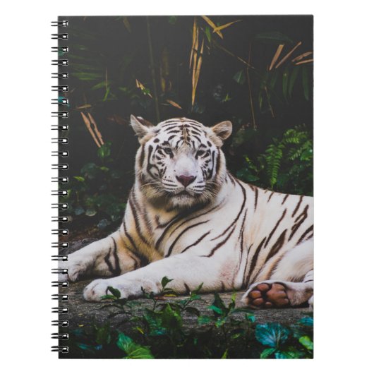 Tiger-Notebook Notizblock (Vorderseite)