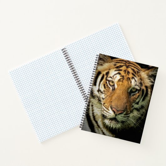 Tiger Notizblock (Innenseite)
