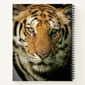 Tiger Notizblock (Rückseite)