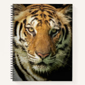 Tiger Notizblock (Vorderseite)