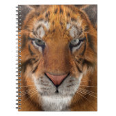 Tiger Notizblock (Vorderseite)