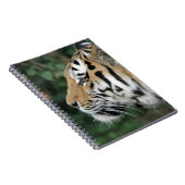 Tiger Notizblock (Rechte Seite)
