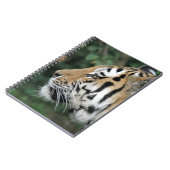 Tiger Notizblock (Linke Seite)
