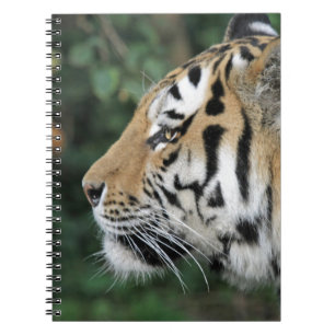 Tiger Notizblock