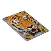 Tiger Notizblock (Rechte Seite)