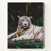 Tiger Notizblock (Rückseite)