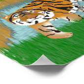 Tiger Oasis Poster (Ecke)