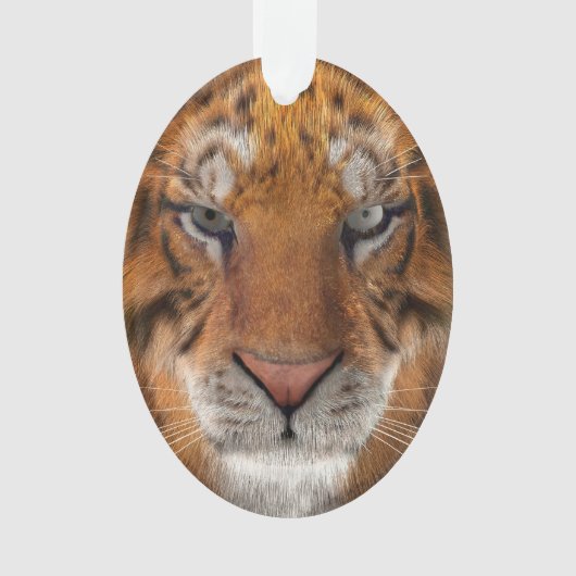 Tiger Ornament (Vorderseite)