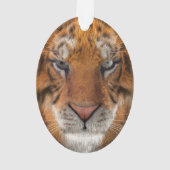 Tiger Ornament (Rückseite)