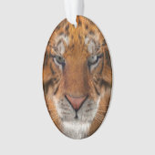 Tiger Ornament (Vorderseite)