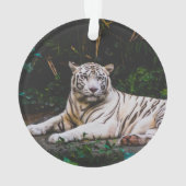 Tiger Ornament (Rückseite)