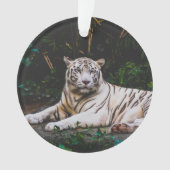 Tiger Ornament (Vorderseite)